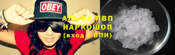 ПСИЛОЦИБИНОВЫЕ ГРИБЫ Балахна